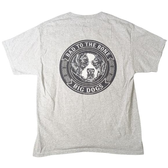 Hanes Big Dogs Gray Graphic Tee | Unisex L - Picture 2 of 5